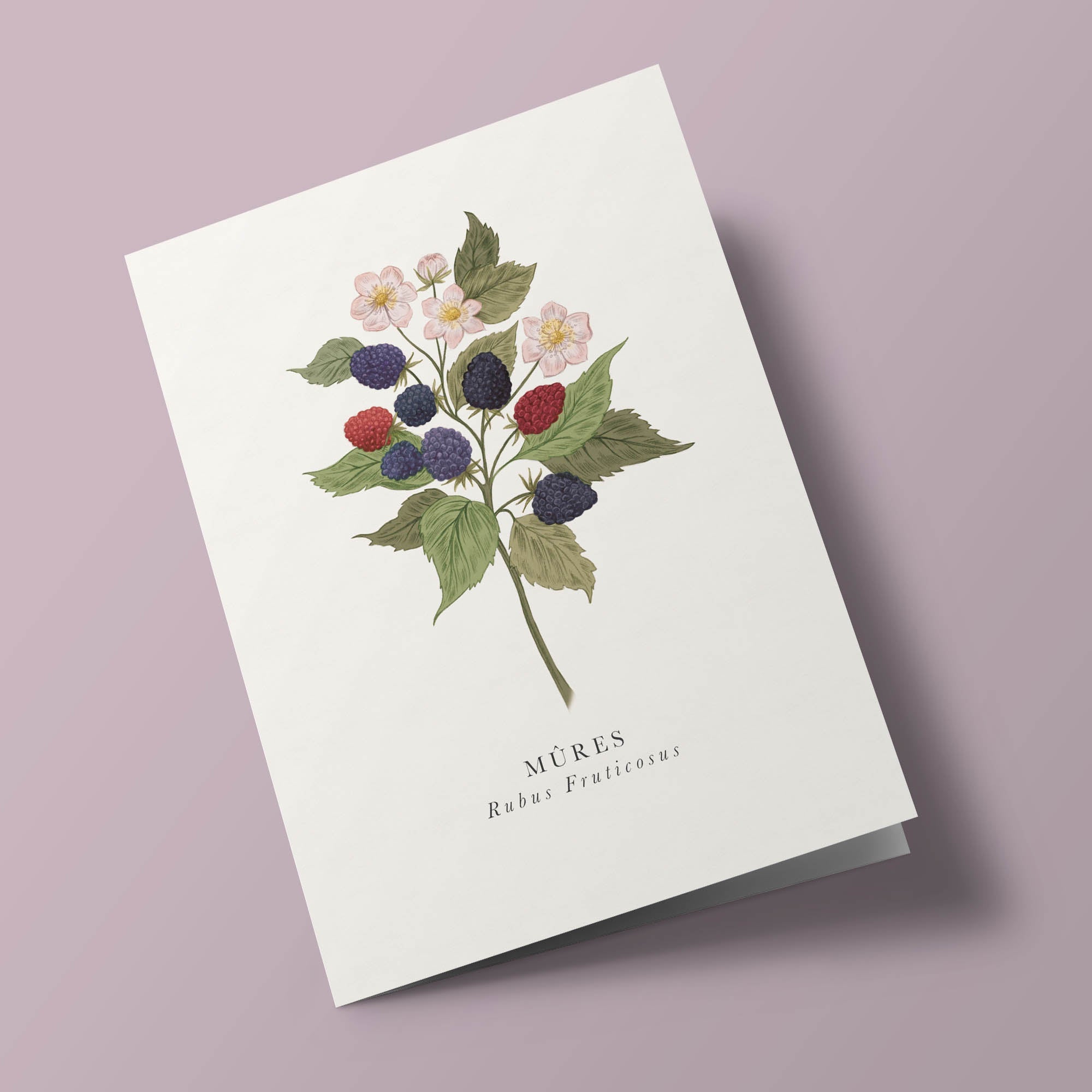 Book and botanics - Mûres