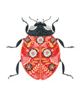 Pollen - Coccinelle