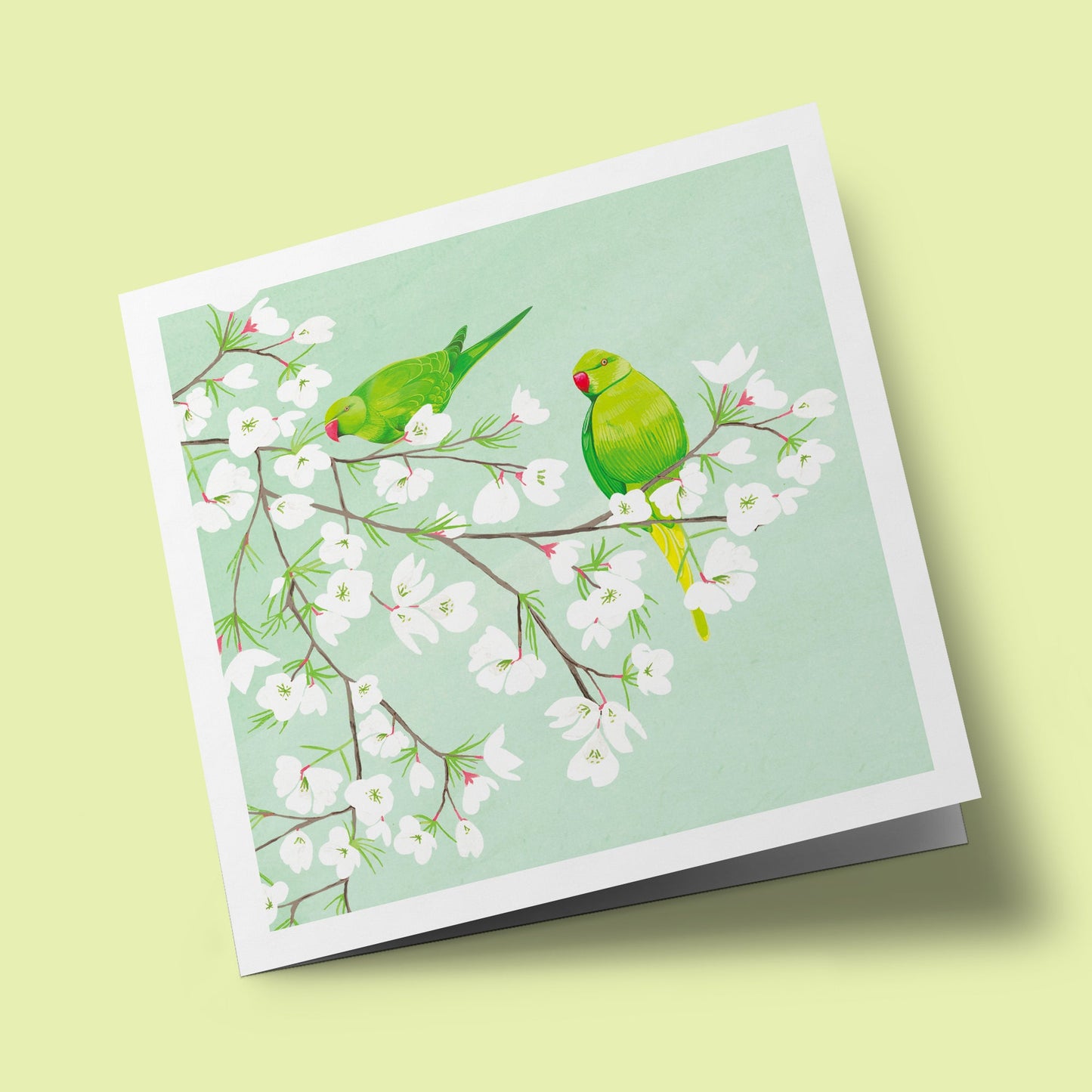 Richmond Park - Green Parakeets in Cherry Blossom Tree