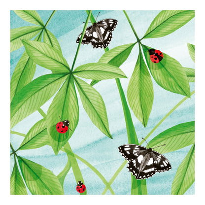 Richmond Park - white marbles butterflies and ladybugs on leaves