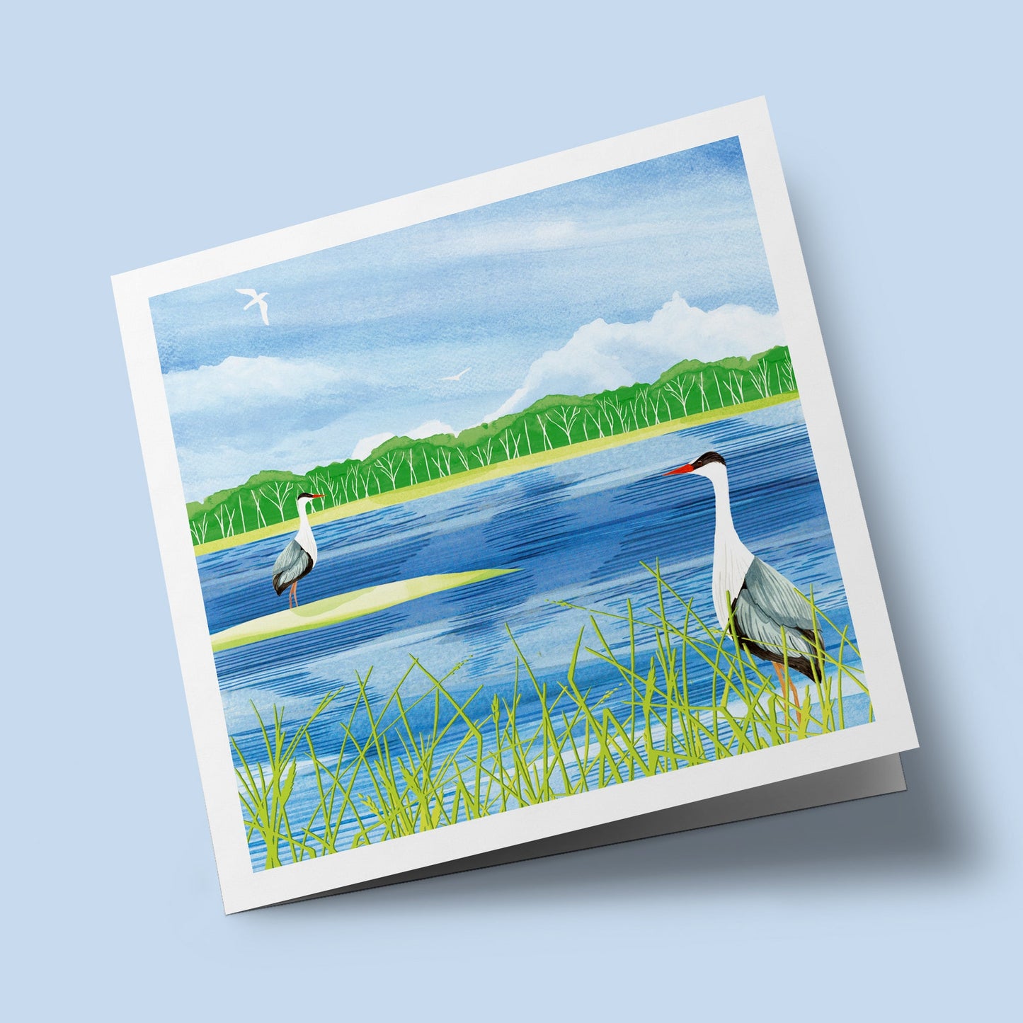Richmond Park - herons at the lake