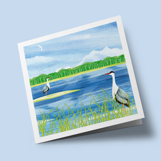 Richmond Park - herons at the lake