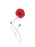 Cotton Flowers - Poppy - embroidered card