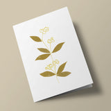 Dompte-venin - carte cousue