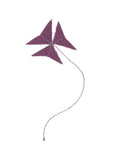 Oxalis - carte cousue