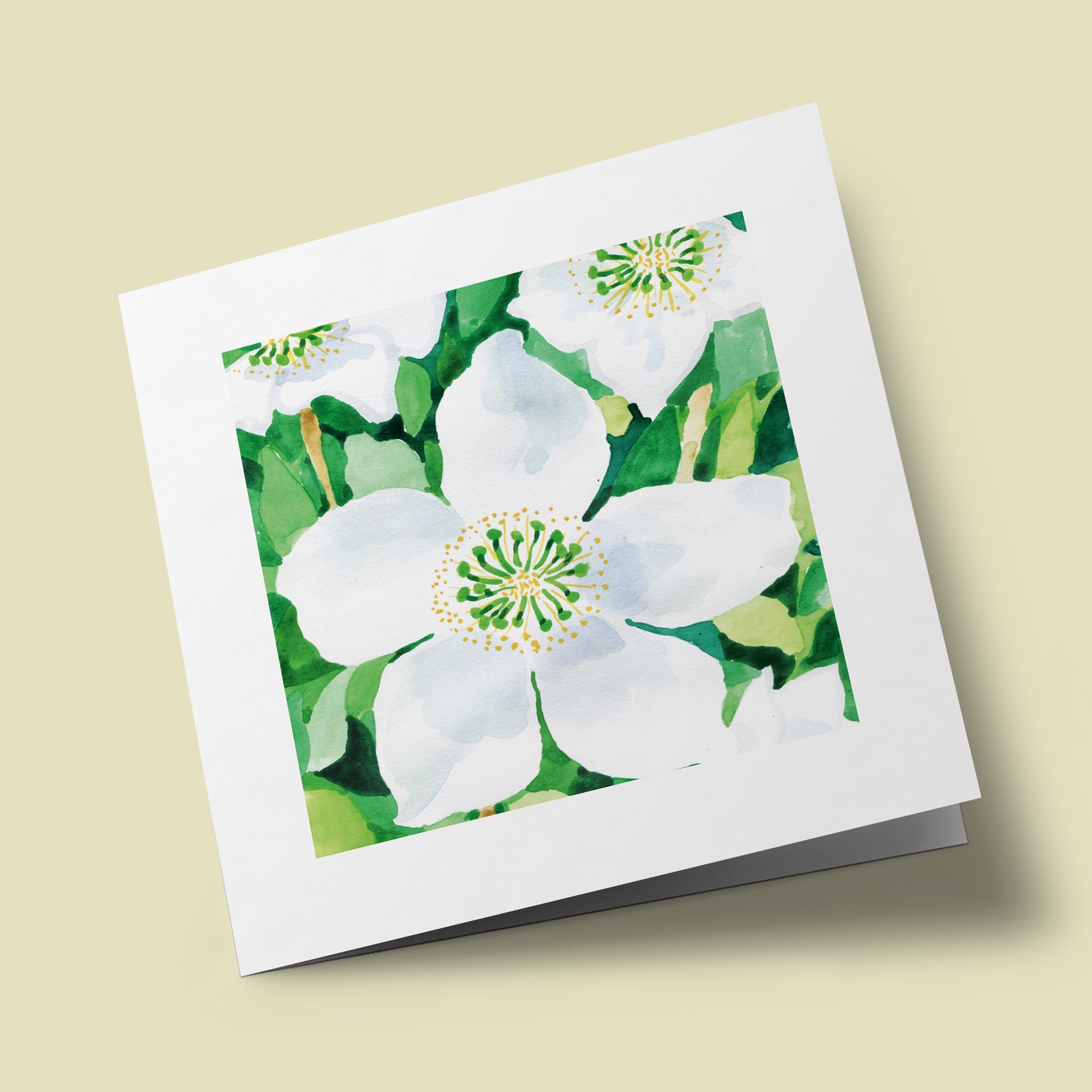 Couleurs d'été - Hellebores