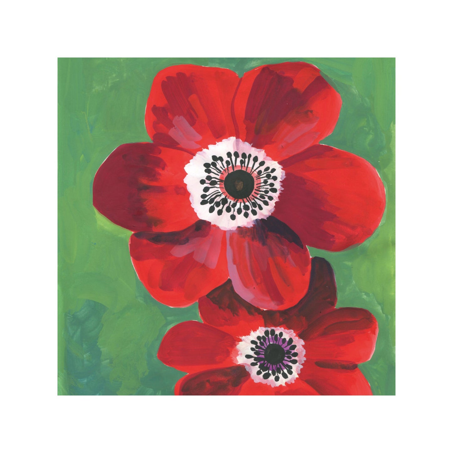 Couleurs d'été - Anémones