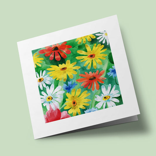 Couleurs d'été - Marguerites