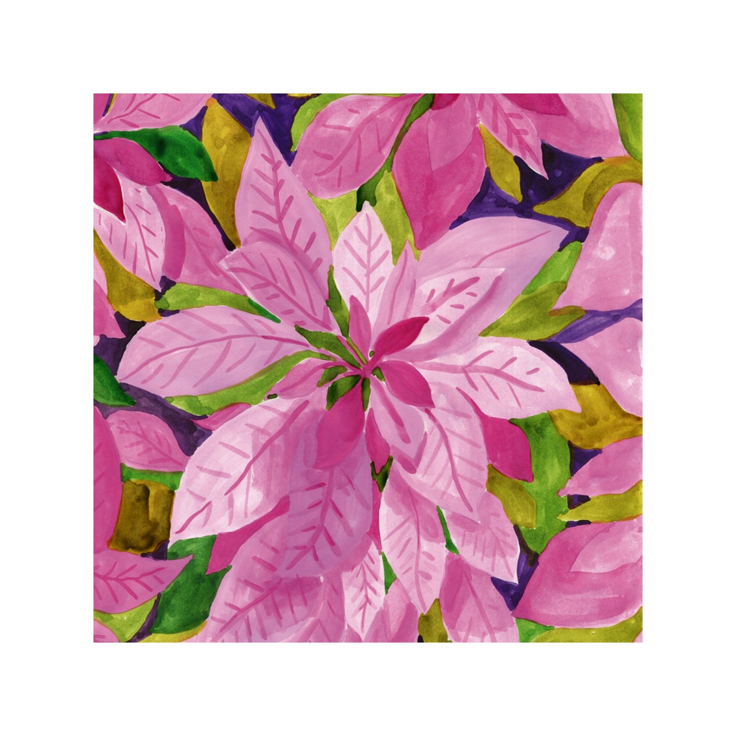 Couleurs d'été - Poinsettia