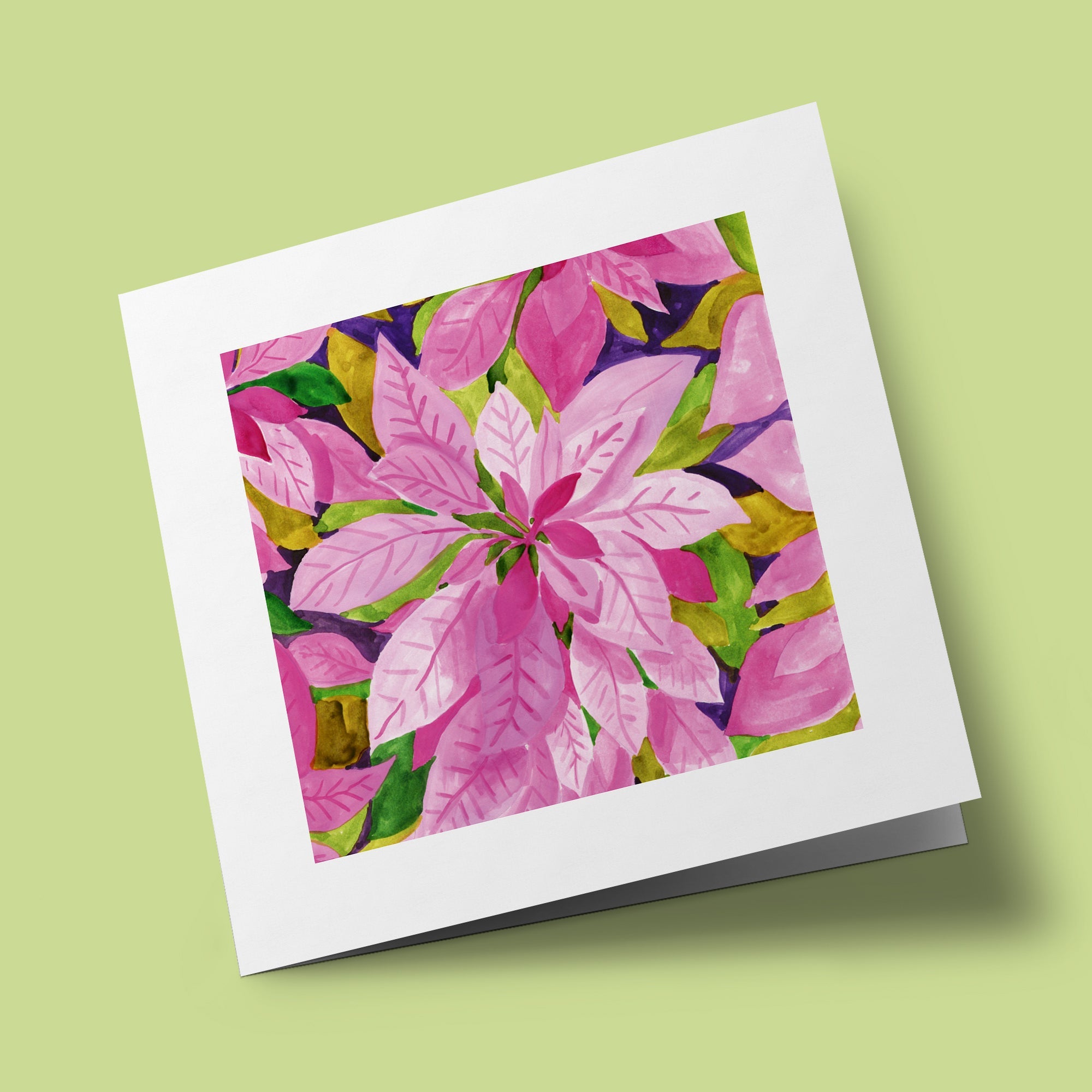 Summer Colours – Poinsettia