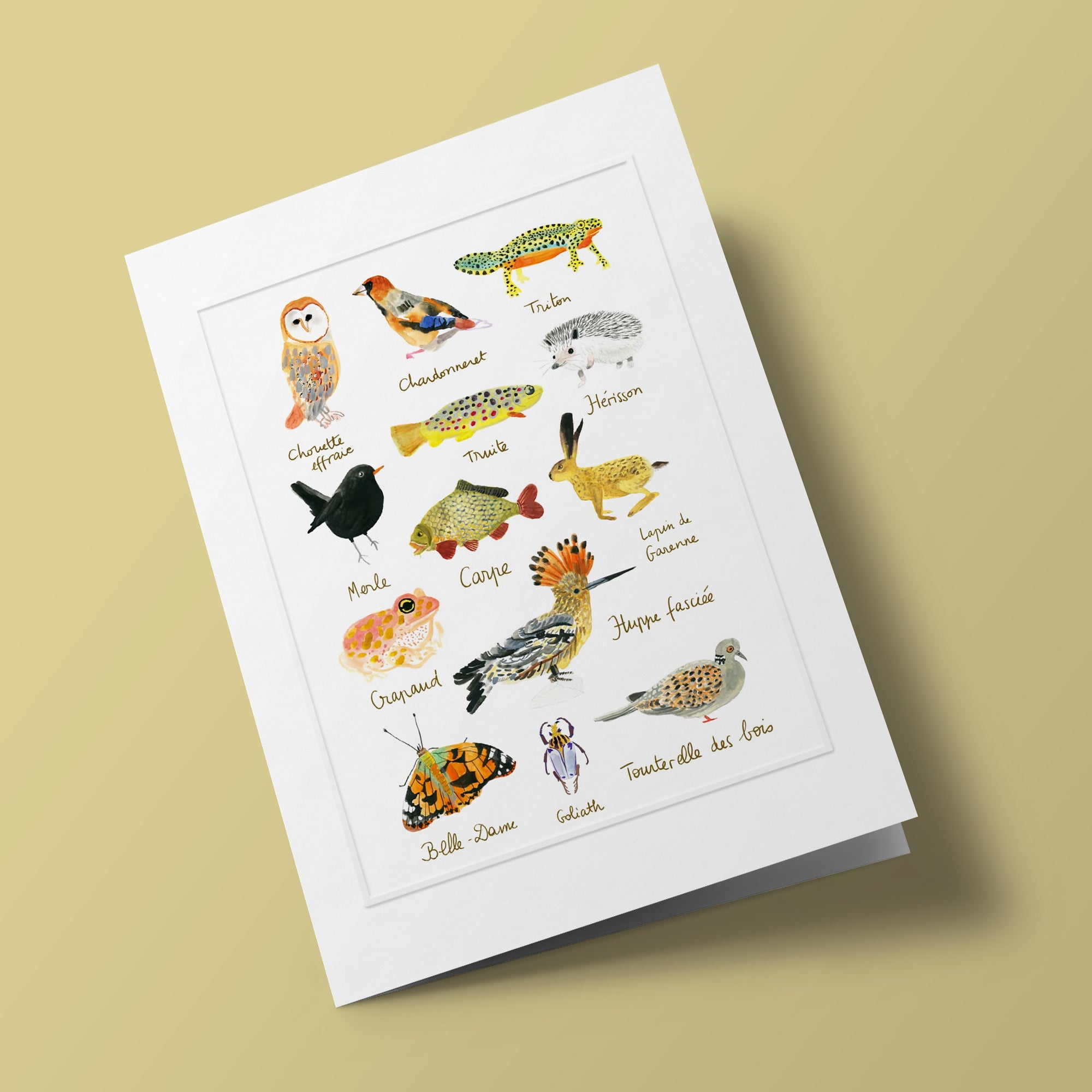 Histoire naturelle - Faunes de France