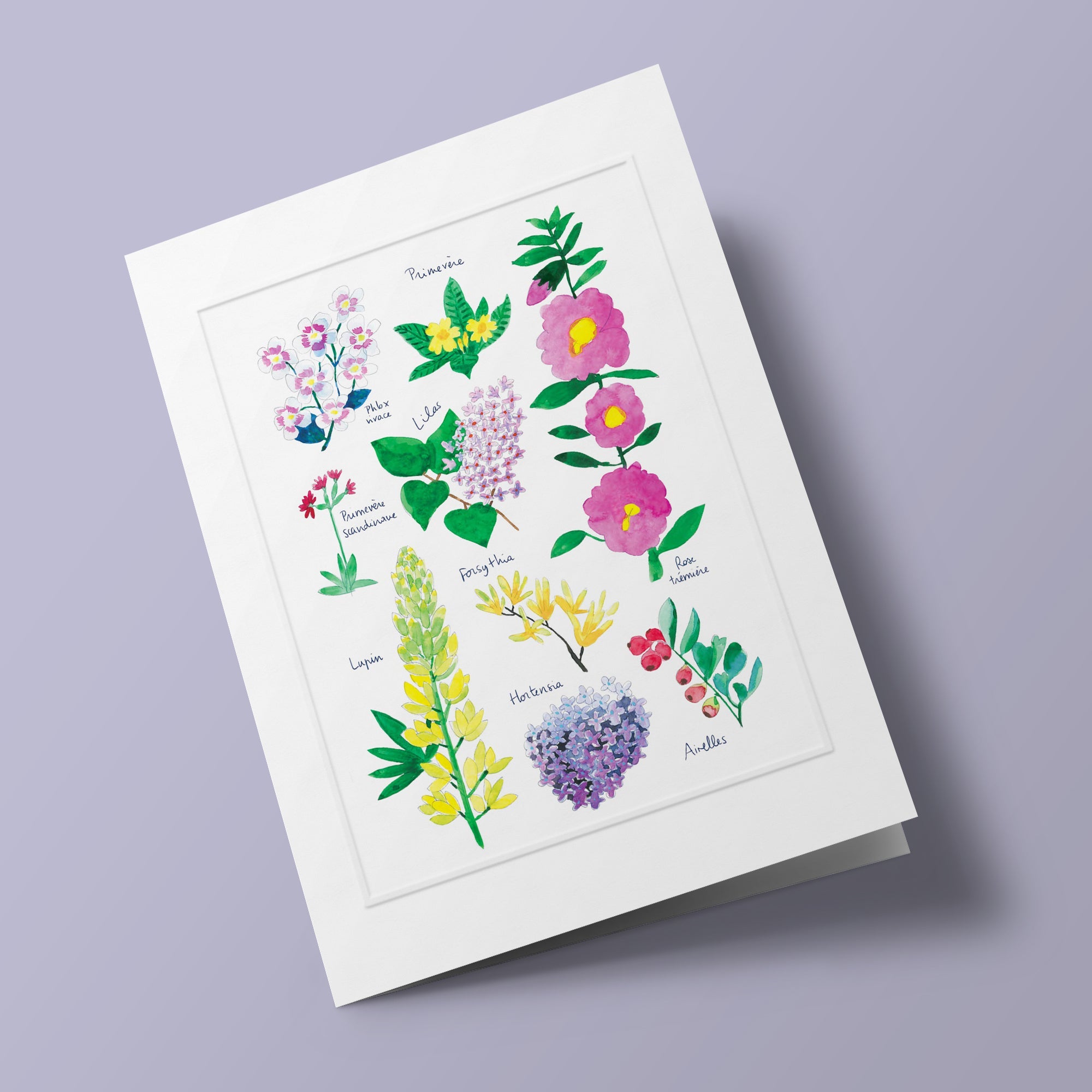 Histoire naturelle - Fleurs du jardin