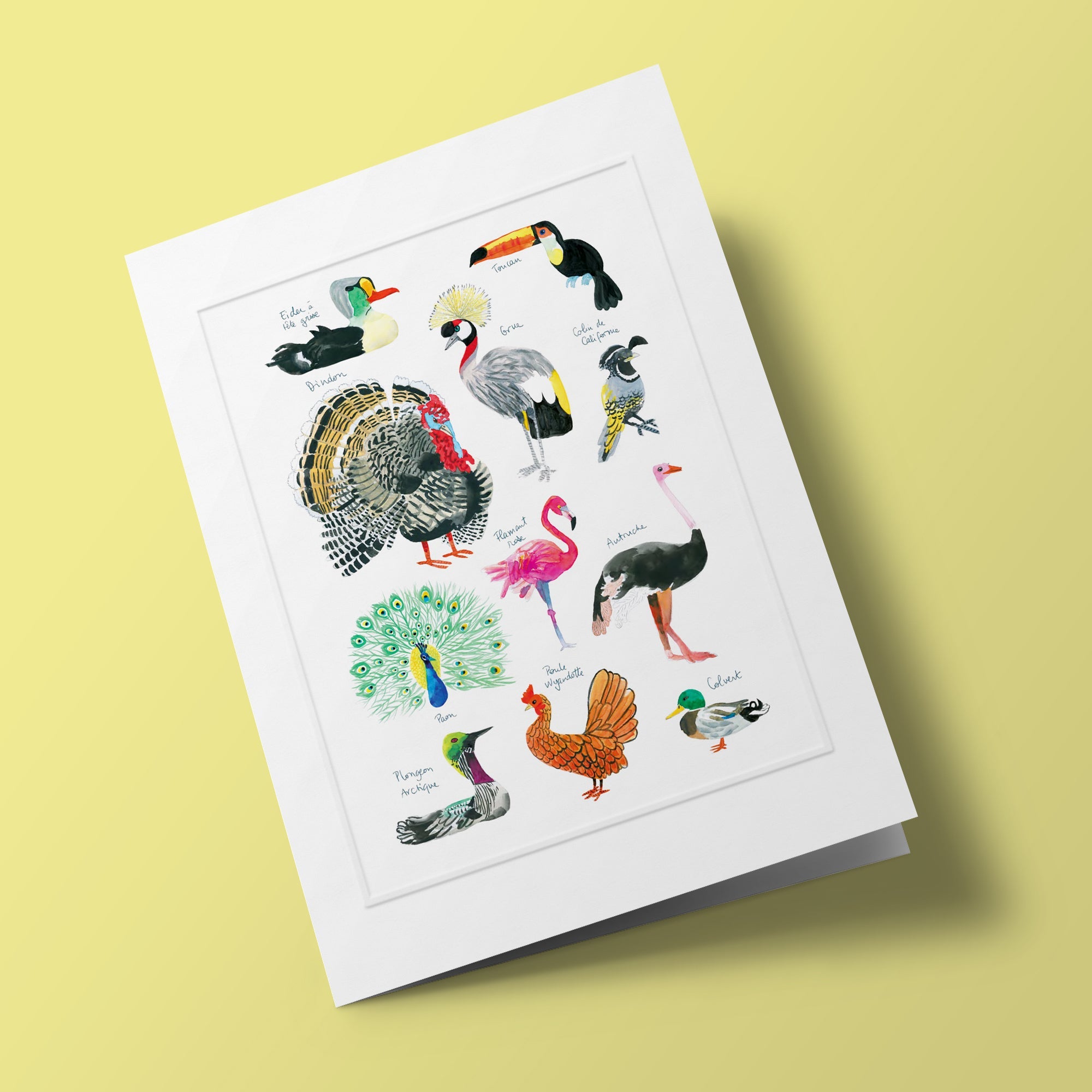 Histoire naturelle - Oiseaux