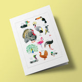 Histoire naturelle - Oiseaux