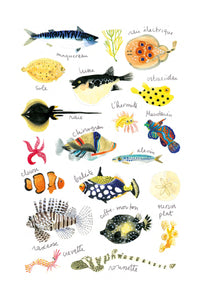 Histoire naturelle - Poissons