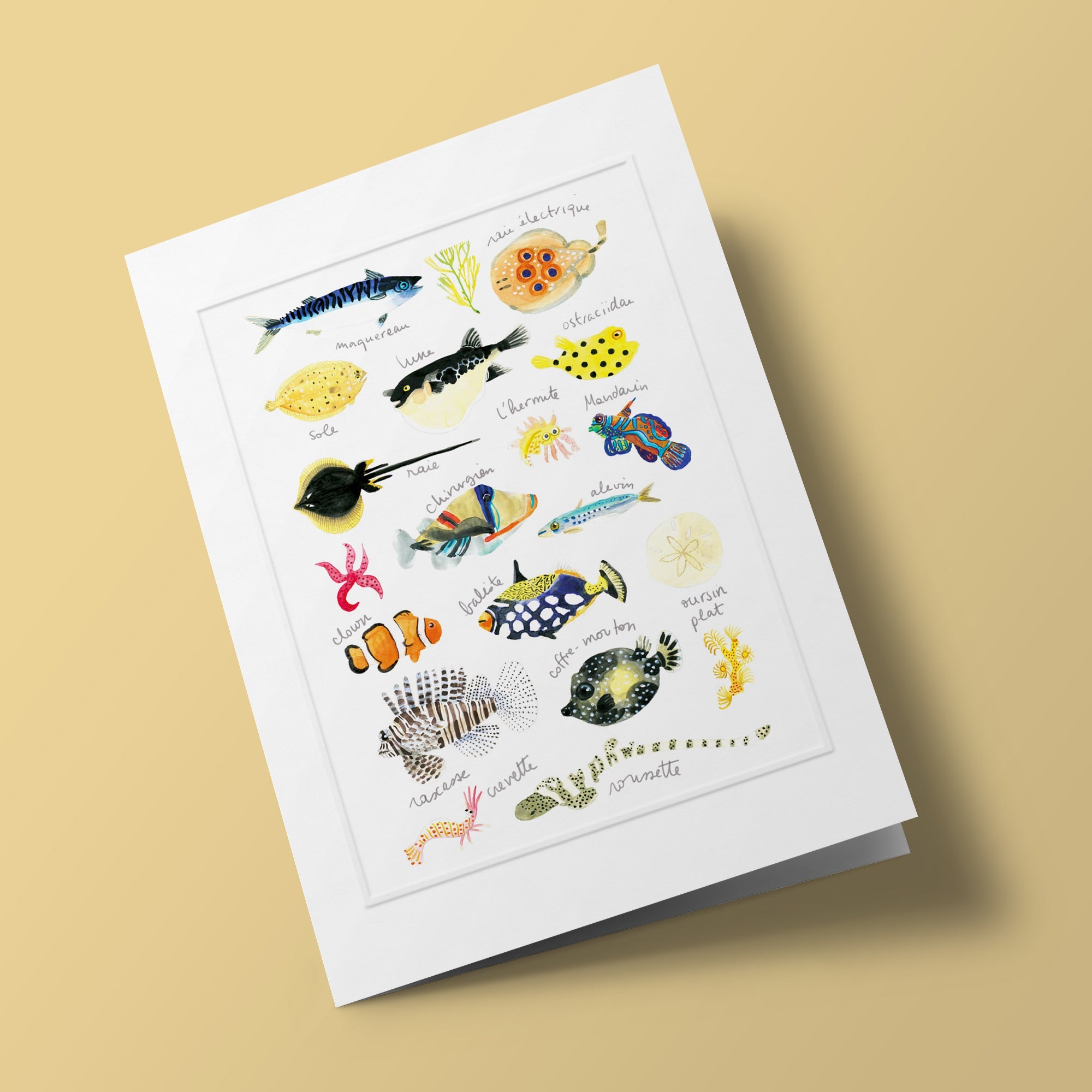 Histoire naturelle - Poissons